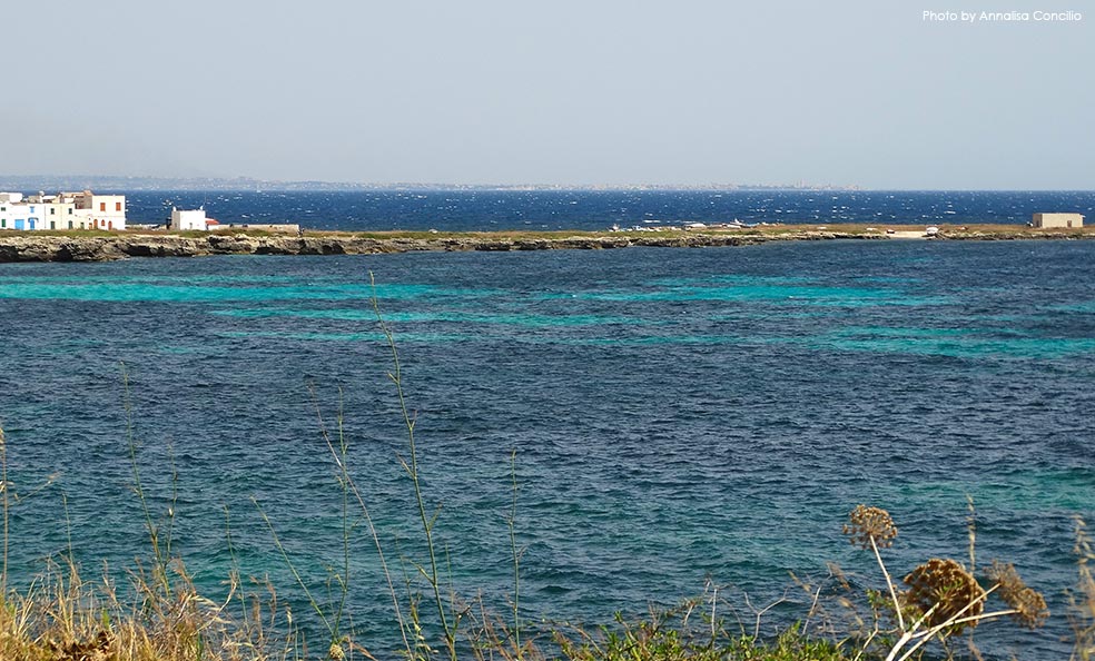 favignana
