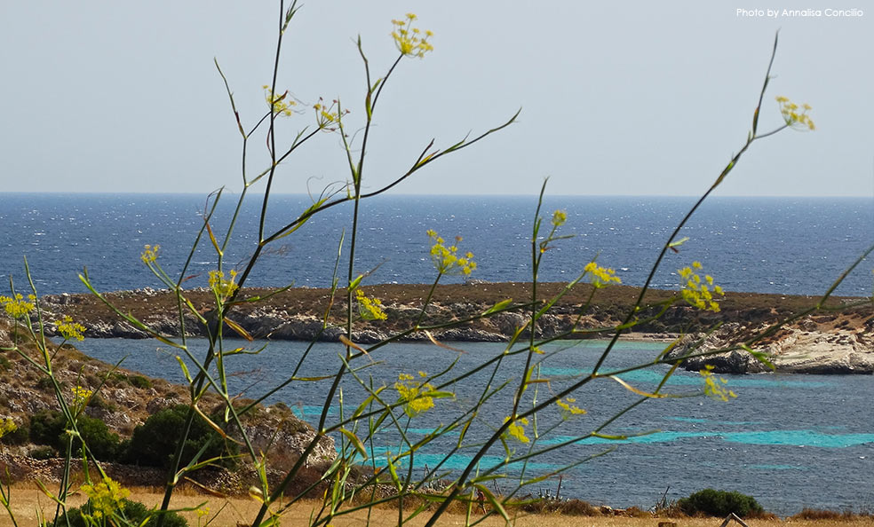 favignana